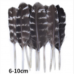 Looduslikud faasanisuled Paabulinnusuled Kotkas V&auml;ike n&auml;ss K&auml;sit&ouml;&ouml; Aksessuaarid Ehted Looming P&uuml;hadekaunistus 20Pcs