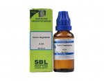 SBL Carbo Vegetabilis Dilution 6 CH 30 ml