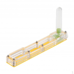 Antikaariumi kast sipelgapesas jaoks