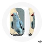 Juhtmeta hiirepapagoid Papagoid Sinine