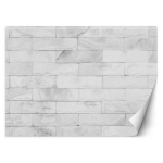 Tapeet Valged tellised 100x70 must/valge