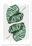 Plakat monstera liście 29,7x42 cm A3