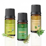 Carno Calm eeterlike &otilde;lide komplekt | 3 pakki | USDA poolt heaks kiidetud, 100% puhas teepuu&otilde;li, sidrunheina&otilde;li, viirukipuu&otilde;li 10 ml iga&uuml;ks difuuserite jaoks