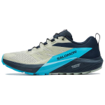 Salomon Sense Ride 5 Mugavad Vastupidavad Hingavad Madalad Jooksukingad Meestele Jooksukingad Beež Must Sinine 474585 45⅓