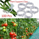 Vastupidav l&auml;bipaistev 30/50/100 tk Taimede tugiklambrid Viinapuuaed K&ouml;&ouml;giviljad 23mm Taimet&uuml;&uuml;pidele 100pcs