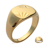 Chevali&egrave;re Plaqu&eacute; Or 'Charles'  dor&eacute; (gravable) - 10x12 mm 54 kuld