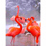 5D Teemantmaal Ristpistes Komplektid Loomad Teemanttikandid Flamingo Pilt kivist 20X30CM