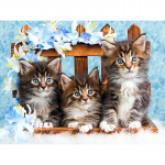 Teemantmaaling &uuml;marate kividega Loomade pildid kividega Uus teemanttikandid kass 20X30CM