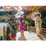 Teemantmaal Ristpistes Jaapani Geisha Teemantmosaiik Portree Teemanttikandid 20X30CM