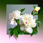 Teemantmaalimise lilledega teemantmaalimise 5D ristpistega teemantkunsti maalimise komplektid 20*20cm