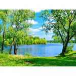 Teemanttikandid maastik T&auml;isekraan kasepuu teemantmaaling maastik Rhinestone'i pildid Full Round 20x30CM