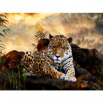 5D DIY Teemantmaal P&auml;ikeseloojangu Loomade Leopard Teemanttikandid Ristpistes Komplekt t&auml;iskivist mosaiigist kodukaunistus Square 50x70cm