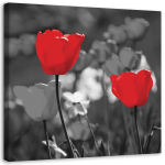 L&otilde;uenditr&uuml;kk Red Flowers Tulips Nature 30x30 punane