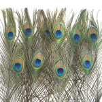 Naturaalne paabulinnu lillepudeli pistik &ndash; pudelikiik Kaunistus suure silma paabulinnu t&otilde;elise sulgedega Trifid 25-30cm large eyes