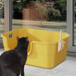 Kassiliivakast avatud siseruumides, k&otilde;rgendatud hall v&auml;rv