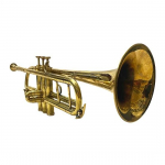 Professionaalne Bb trompet poleeritud, huulikuga, parim kingituseks