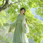Roheline Hiina Wei ja Jin d&uuml;nastia stiilis Hanfu elegantne haldja&uuml;likond L roheline
