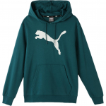 Puma Spordikasuaalne Kapuutsiga Pullover Huppar Meeste huppar Lahe-Heleroheline 686060-23 L