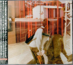 CD MEGAPHONIC THRIFT - Megaphonic Thrift MWCD115 Donuts Pop 2012 Jaapan ObiRock Kasutatud