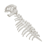 Dinosauruskeletiga pehmem&auml;nguasi Realistlik dinosauruskost&uuml;&uuml;m painduva selgroo kinnituse ja heliefektidega Kerge peapael peole Cosplayks Kid roheline