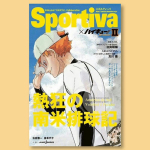 anan Ajakiri Haikyuu Eriv&auml;ljaande Plakat Vabaaja T&auml;navastiili Disain Spordi Anime Tr&uuml;kis Ideaalne Anime Koguja F&auml;nnidele 150x100cm(60x40in)