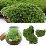 Kodu Peokaunistus Kunstlik roheline muru sambla taim Ornament Miniatuur One Size