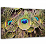 Feeby l&otilde;uenditr&uuml;kk, paabulinnu sulg 60x40 roheline