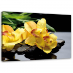 Feeby l&otilde;uenditr&uuml;kk, nartsissid ja zen-kivid 60x40 kollane