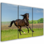 Kolmeosalise pildiga l&otilde;uendiprint Horse galopp heinamaa 60x40 roheline