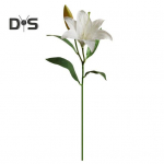 1 oks rohelised lehed v&otilde;ltslill, n&auml;rbumata Kasulik 2 pead Kevadliilia Elutoa lilleseade valge