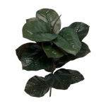 1 tk kunstlik leht Keskkonnas&otilde;bralik pidude jaoks erksav&auml;rviliseks fotograafiaks rekvisiidid Kunstlehe eriline Fantastiline tuhmumatu 1