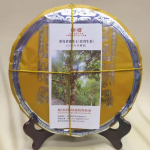 357 g Yunnani toortee 2022 Bingdao Laozhai Puerhi toortee kook Puer koogi tee