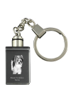 Biewer Yorkshire Terrier - Crystal key ring with dog photo, illuminated key ring, unique gift by Art-Dog brand