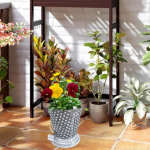 Bucket with Dots Design for Plant Display in Garden Small