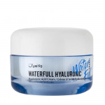 Jumiso Waterfull Hyaluronic Acid Cream 50 ml - nawilżający krem do twarzy