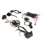 Elektriline juhtmestik CDI staatori komplekt 150CC 200CC 250CC 300CC ATV QUADile