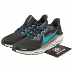 Nike Pegasus 41 Meeste jooksujalatsid FD2722-007 EU 42