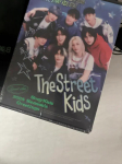 STRAY KIDS 2025 hooajatervitused
