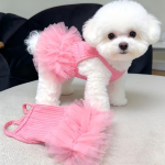 Roosa hingav pulmakleit v&auml;ikesele koerale kassile - Strapless koheva seelikuga, pestav kevad/suvine kost&uuml;&uuml;m Teddy Pomeranian Pekingese (Pink,L) roosa