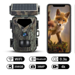 SUNTEKCAM MiNi700w WIFI J&auml;lgimiskaamera, 36MP, 4K, IP65