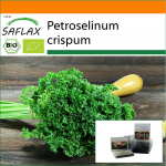 SAFLAX - Aed kotis - Orgaaniline - Moss curled petersell - 800 seemet - Substraadiga sobivas p&uuml;stises kotis - Petroselinum crispum