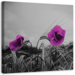 L&otilde;uenditr&uuml;kk Purple Poppies 30x30 lilla
