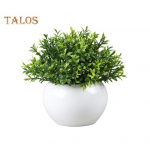 Simulatsioon potitaim n&auml;rbumata dekoratiivne kauap&uuml;siv ilus keraamilise lillepotiga v&otilde;ltstaim Gypsophila potitaim