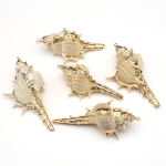 Bohemian Creative Vintage Golden Edge Merekarbi ripats Triibuline kammkarp amuletid ehete valmistamiseks DIY kaelakee tarvikud K&auml;sit&ouml;&ouml; naistele meestele kingitused 5Pcs/30x50-35x60mm
