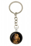 Bloodhound, St. Hubert Hound, Sleuth-hound - keychain with your photo, key decoration, bag pendant from Art-Dog brand