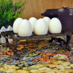 Cast Iron Egg Holder Rack Display Stand Countertop Hold up to 6 Eggs Sturdy Rustic Decor Vintage