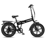 Folding Electric Bike Rincc R200 20 x 4.0 Fat Tires 750W Motor 48V15Ah Battery 50km/h Max Speed 60km Max Range SHIMANO 7 Speed