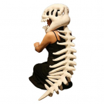 Dinosauruskeletikost&uuml;&uuml;mi komplekt Realistlik pl&uuml;&uuml;sist dino-riietus selgroo detaili ja peapaelaga L&otilde;bus dinosaurus Kost&uuml;&uuml;mi aksessuaar valge