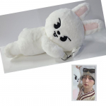 Stray Kids SKZOO Palus Kott celebrATE ( fotokaardiga POP UP-ist)