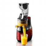 Mahlapress Slakken Scheiding Huishoudelijke Fruit Kleine Draagbare Multifunctionele Originele Mahlapress Frituren Sap Machine 220V